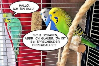 Kennenlernen Kennenlernen