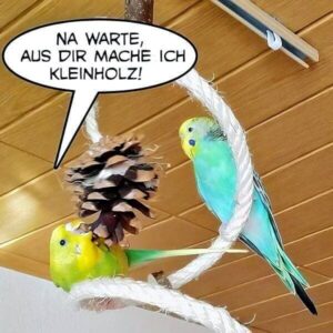Lotta zerlegt Kiefernzapfen