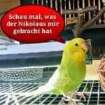 Lotta und der Nikolaus