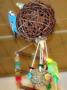 Hei&szlig;luftballon mit Wellis