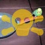 Teflon