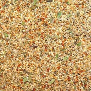 Claus - Primus Basis