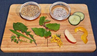 Richtige Ernährung der Wellensittiche Richtige Ernährung der Wellensittiche