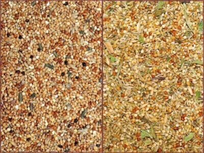 Futtervergleich Futtervergleich