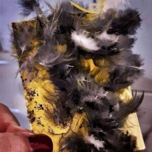 Gelbkarte Gelbkarte mit Federn