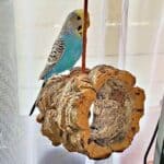 Kork zum Schreddern? Kork zum Schreddern?