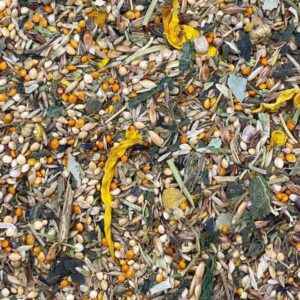 Mixerama - Kraeutervielfalt