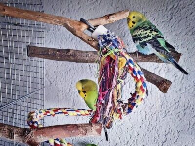 Geeignet oder ungeeignet? Geeignet oder ungeeignet?