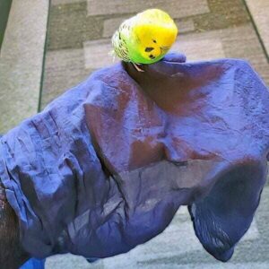 Baumwolltuch Baumwolltuch