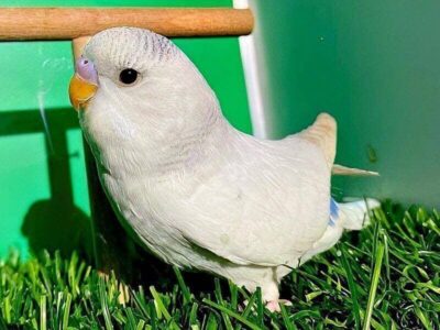 &Auml;u&szlig;eres Erscheinungsbild