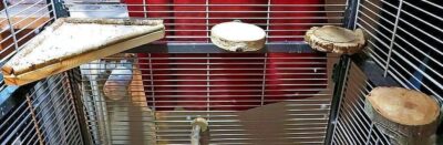 2. Ebene: Freizeitbereich (Flugzone) 2. Ebene: Freizeitbereich (Flugzone)