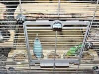 Fütterung Fütterung