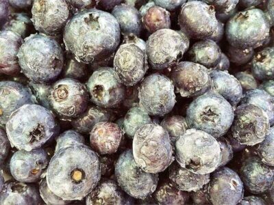 Heidelbeeren Heidelbeeren