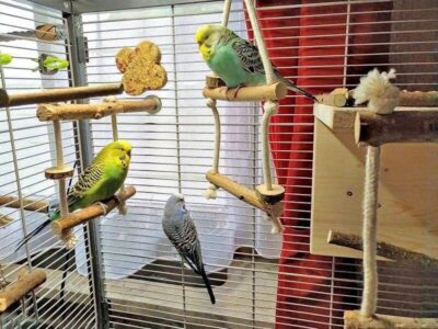 Sinnvolle Aufteilung Sinnvolle Aufteilung