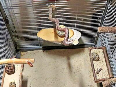 Käfig unten Käfig unten