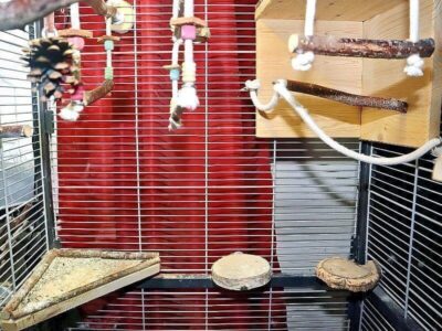 Käfig sinnvoll aufteilen und einrichten Käfig sinnvoll aufteilen und einrichten