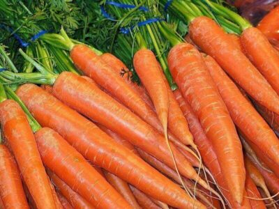 Karotten Karotten