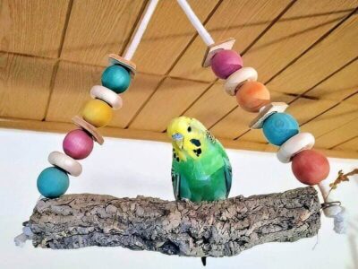 Schaukeln für den Freiflug Schaukeln für den Freiflug