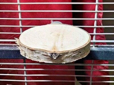 Obstbaumscheibe Obstbaumscheibe