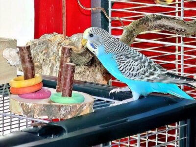 Kreativ-Spielzeug herstellen Kreativ-Spielzeug herstellen