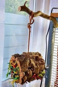 Sitzstange mit Korkr&ouml;hre