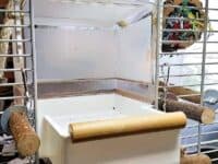 Vogelbad mit Einstiegshilfe