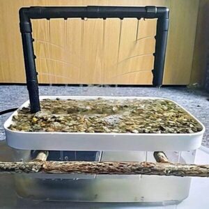 Vogelwaschanlage