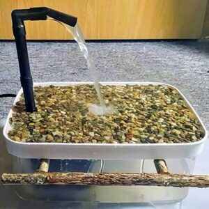 Vogeldusche Wasserfall