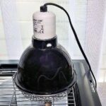 Hilfsmittel für die Behandlung Hilfsmittel für die Behandlung