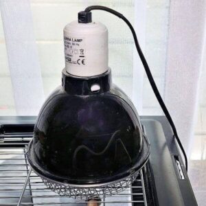 Hilfsmittel für die Behandlung Hilfsmittel für die Behandlung