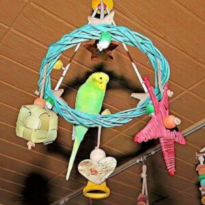 Weihnachtskränze Weihnachtskränze