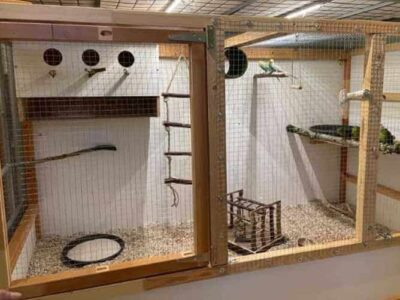 Zuchtboxen Zuchtboxen