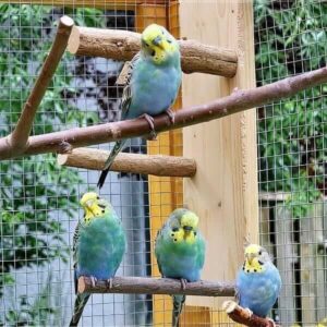 Ritas kleine Welliwelt