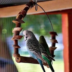 Wulkauer Wellensittichzucht Wulkauer Wellensittichzucht