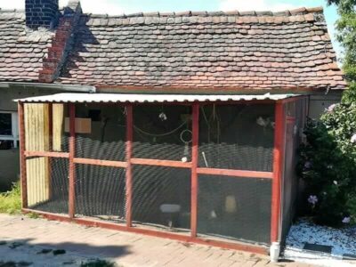 Außenvoliere (Eigenbau) Außenvoliere (Eigenbau)