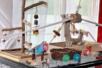 Beschäftigungsmöglichkeiten Beschäftigungsmöglichkeiten