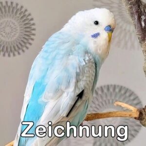 Hellfl&uuml;gel (Blaureihe)