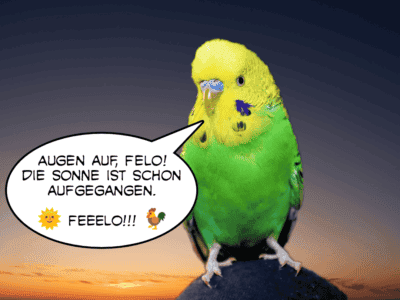 Ideen f&uuml;r Felos