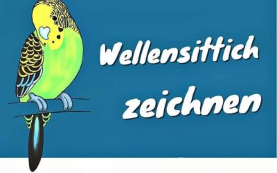 Wellensittiche zeichnen