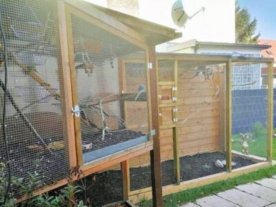 Außenvoliere Außenvoliere