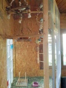 Innenvoliere Innenvoliere