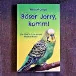 B&ouml;ser Jerry - Buchdeckel