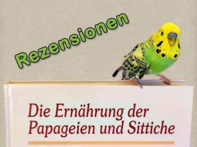 Rezensionen Rezensionen