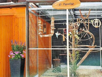 Außenvoliere Außenvoliere