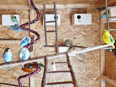 Zuchtanlage Zuchtanlage