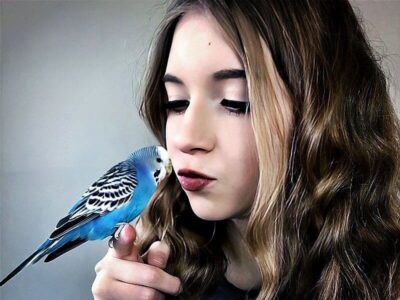 Abschied nehmen Abschied nehmen