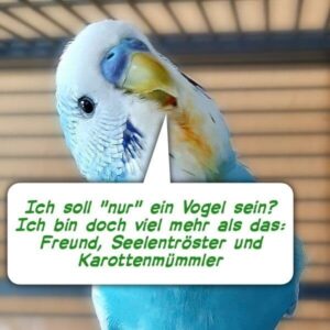 Nur ein Vogel - Jens