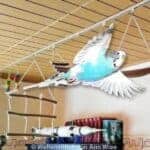 Platzhalter 4x3