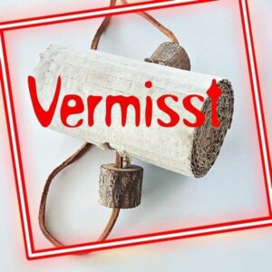 Welli-Krimi "Vermisst"