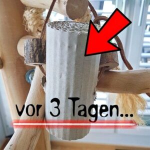 Spielzeug vor 3 Tagen